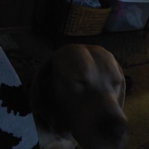 Meet your Posher, Stephany